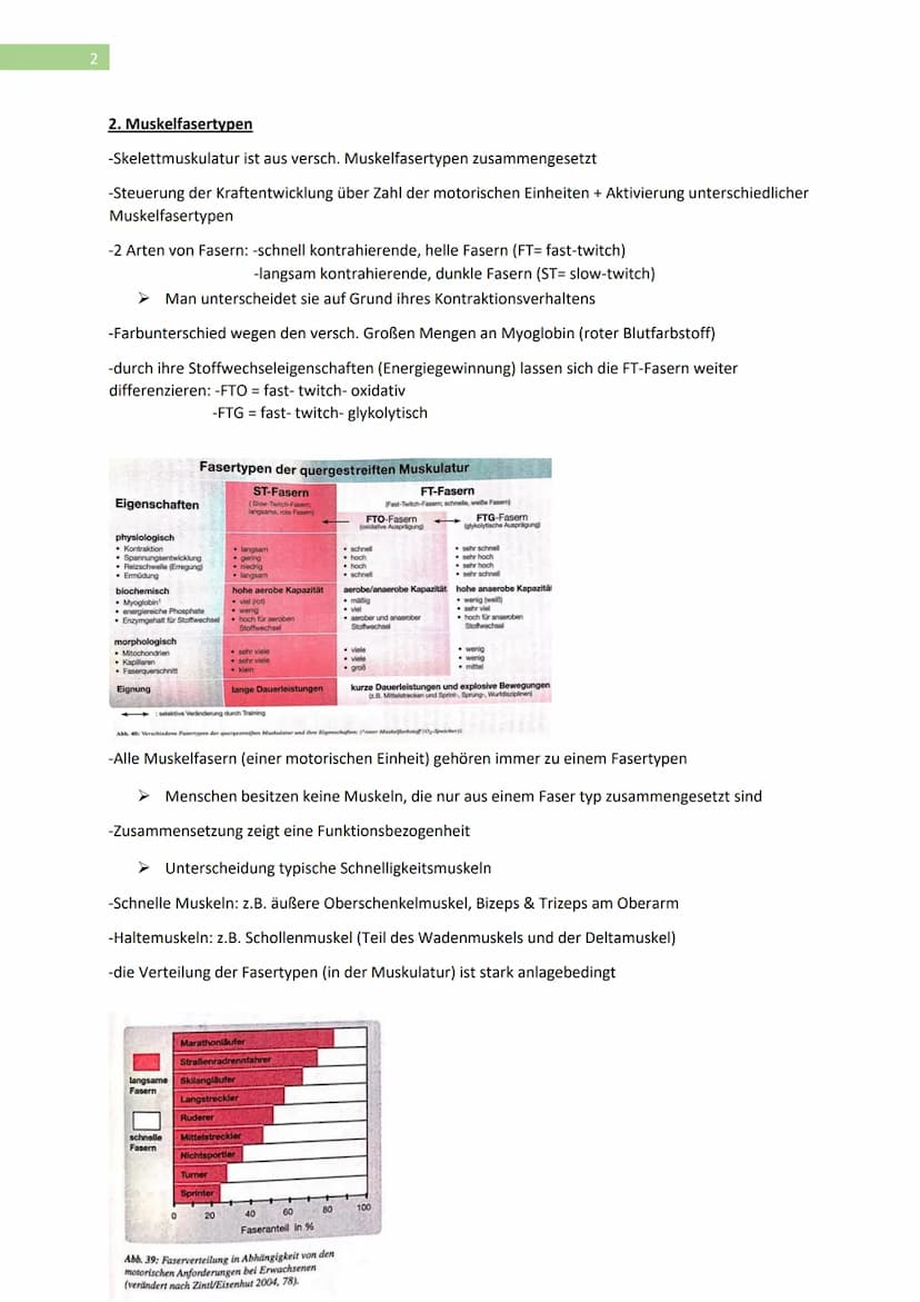 1
1. Arbeitsweisen der Muskulatur
-Motorische Einheit: Nervenzelle in Verbindung mit den von ihren angesteuerten Muskelfasern
-Nervenzelle i