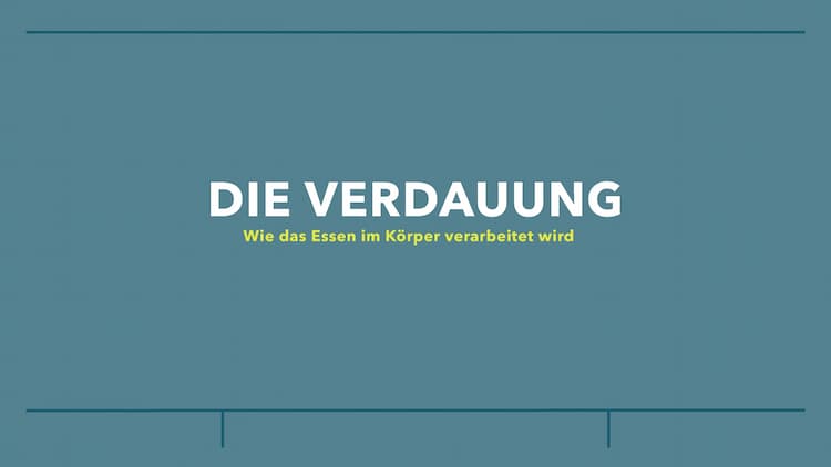 Know Die Verdauung  thumbnail