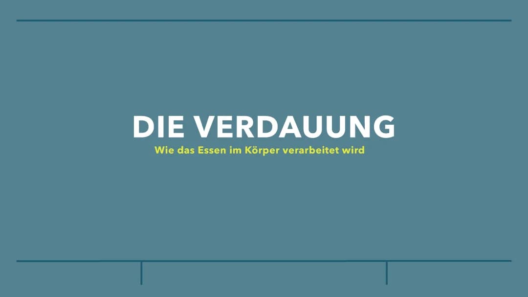 Die Verdauung 
