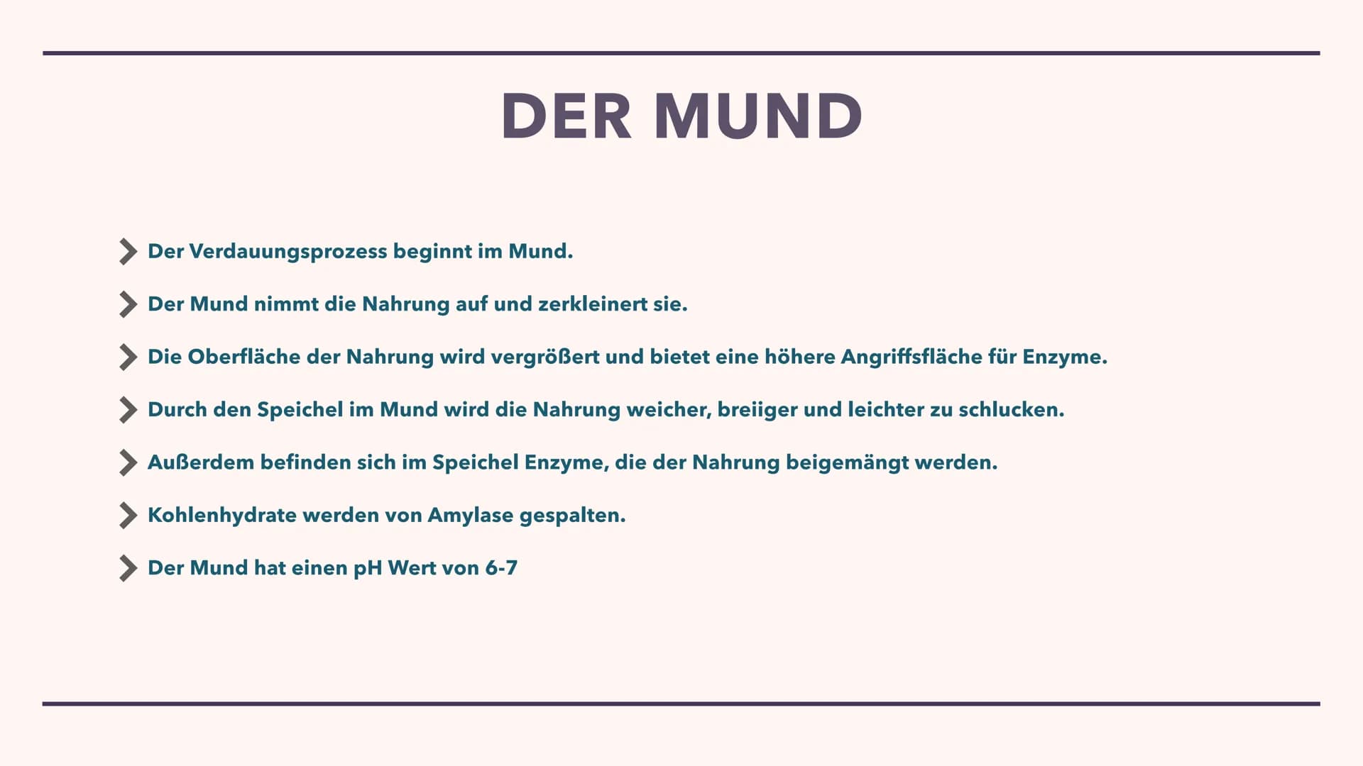DIE VERDAUUNG
Wie das Essen im Körper verarbeitet wird Der Mund
> Die Speiseröhre
> Der Magen
Pankreas
> Dünndarm
Enddarm
INHALT
After
MUNDH