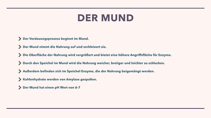 DIE VERDAUUNG
Wie das Essen im Körper verarbeitet wird Der Mund
> Die Speiseröhre
> Der Magen
Pankreas
> Dünndarm
Enddarm
INHALT
After
MUNDH