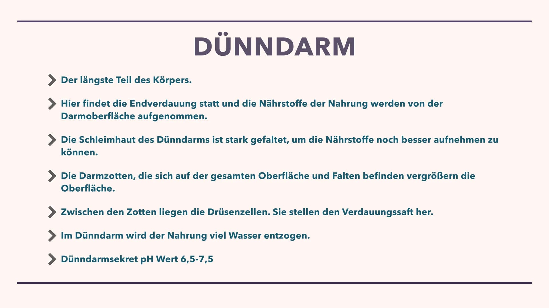 DIE VERDAUUNG
Wie das Essen im Körper verarbeitet wird Der Mund
> Die Speiseröhre
> Der Magen
Pankreas
> Dünndarm
Enddarm
INHALT
After
MUNDH