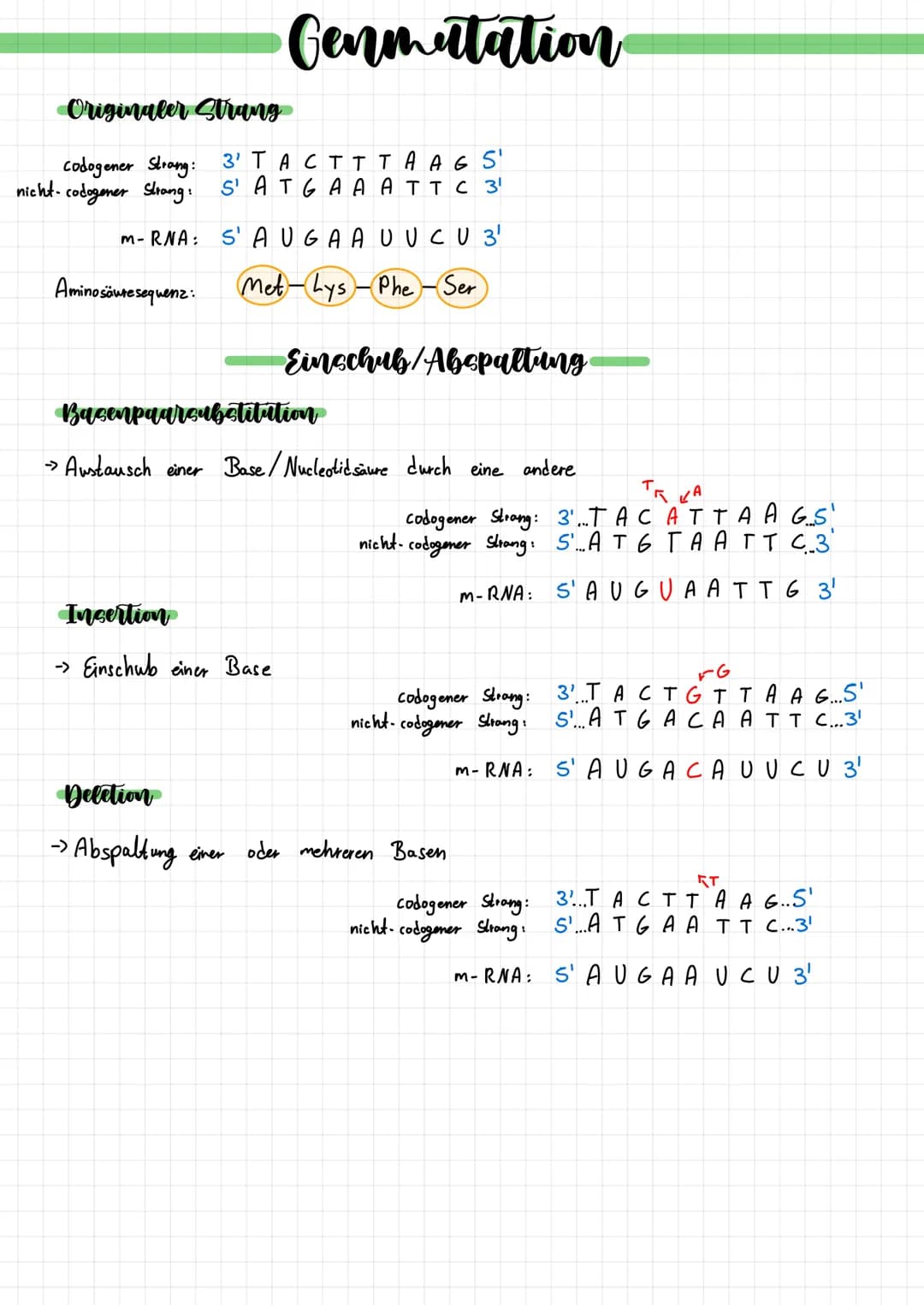 Genmutation
Originaler Strang
codogener Strang: 3'T ACTTTA A GS'
nicht-codogener Strang: S'ATGAA ATT C 3¹
m-RNA
SAUGA A U UCU 3¹
Aminosäure 