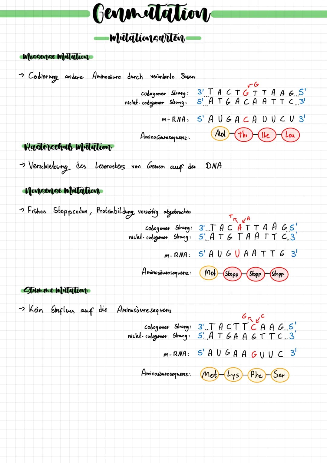 Genmutation
Originaler Strang
codogener Strang: 3'T ACTTTA A GS'
nicht-codogener Strang: S'ATGAA ATT C 3¹
m-RNA
SAUGA A U UCU 3¹
Aminosäure 