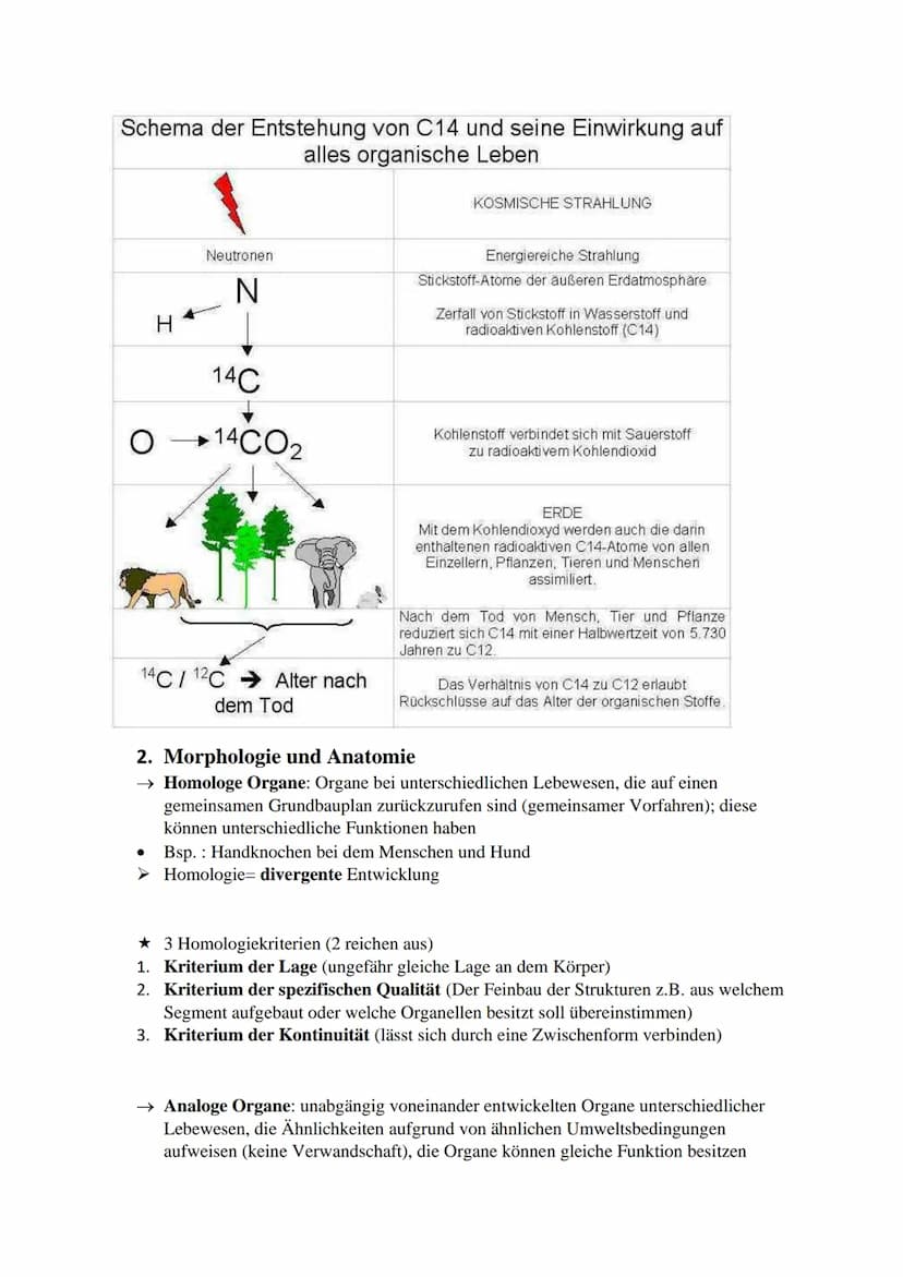 Inhaltsverzeichnis:
Evolutionstheorien (Darwin, Lamarck, Cuvier)
Synthetische Evolutionstheorie
Selektionsarten
Hardy-Weinberg Prinzip
Gendr