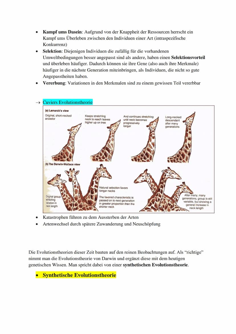 Inhaltsverzeichnis:
Evolutionstheorien (Darwin, Lamarck, Cuvier)
Synthetische Evolutionstheorie
Selektionsarten
Hardy-Weinberg Prinzip
Gendr