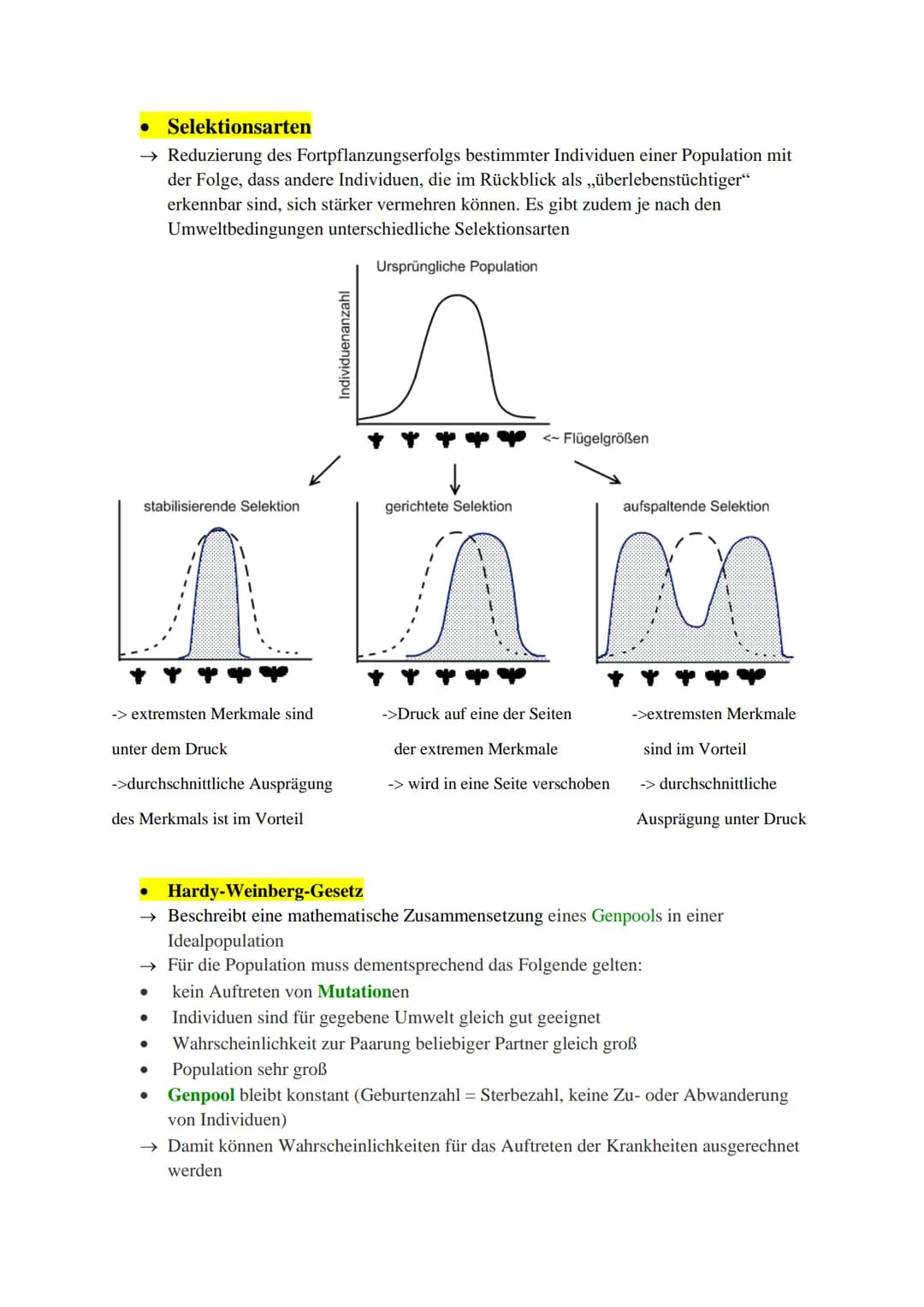 Inhaltsverzeichnis:
Evolutionstheorien (Darwin, Lamarck, Cuvier)
Synthetische Evolutionstheorie
Selektionsarten
Hardy-Weinberg Prinzip
Gendr