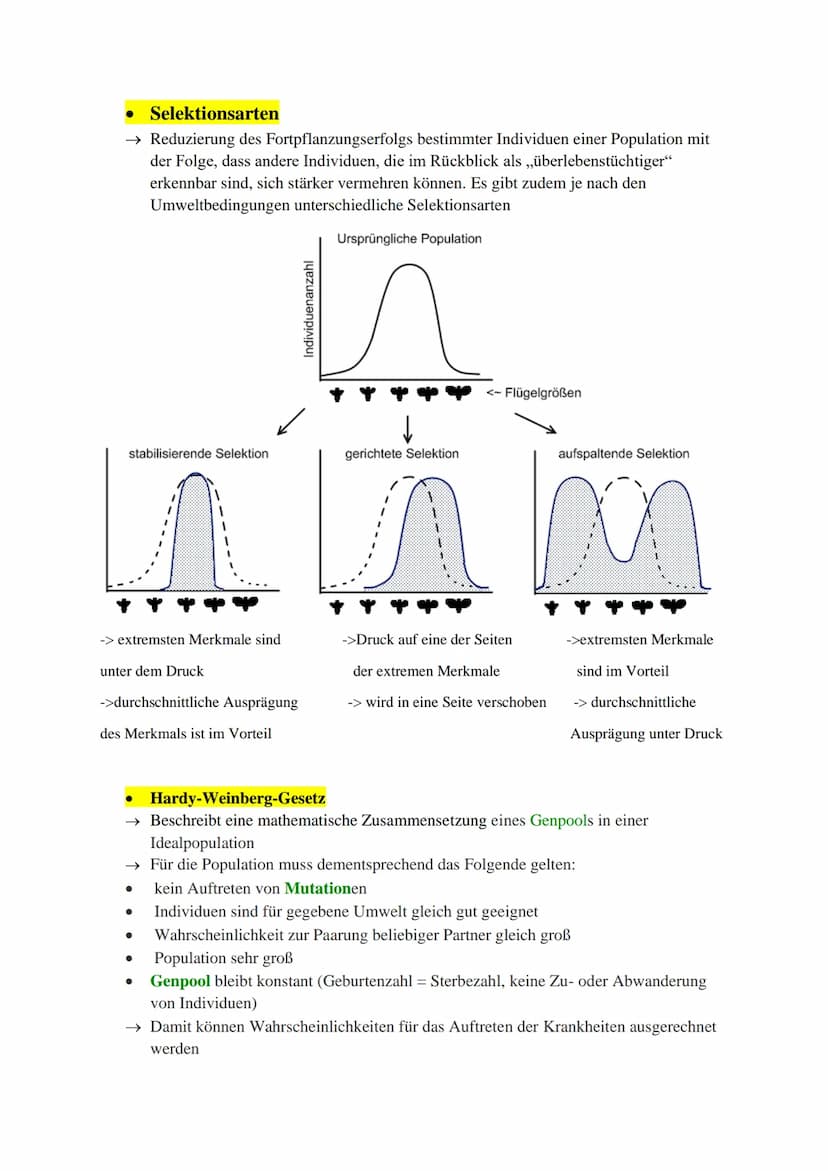 Inhaltsverzeichnis:
Evolutionstheorien (Darwin, Lamarck, Cuvier)
Synthetische Evolutionstheorie
Selektionsarten
Hardy-Weinberg Prinzip
Gendr