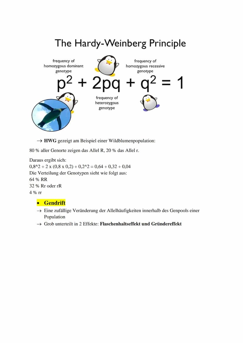 Inhaltsverzeichnis:
Evolutionstheorien (Darwin, Lamarck, Cuvier)
Synthetische Evolutionstheorie
Selektionsarten
Hardy-Weinberg Prinzip
Gendr
