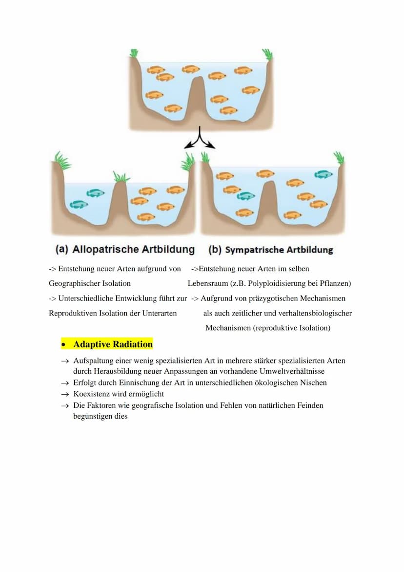 Inhaltsverzeichnis:
Evolutionstheorien (Darwin, Lamarck, Cuvier)
Synthetische Evolutionstheorie
Selektionsarten
Hardy-Weinberg Prinzip
Gendr