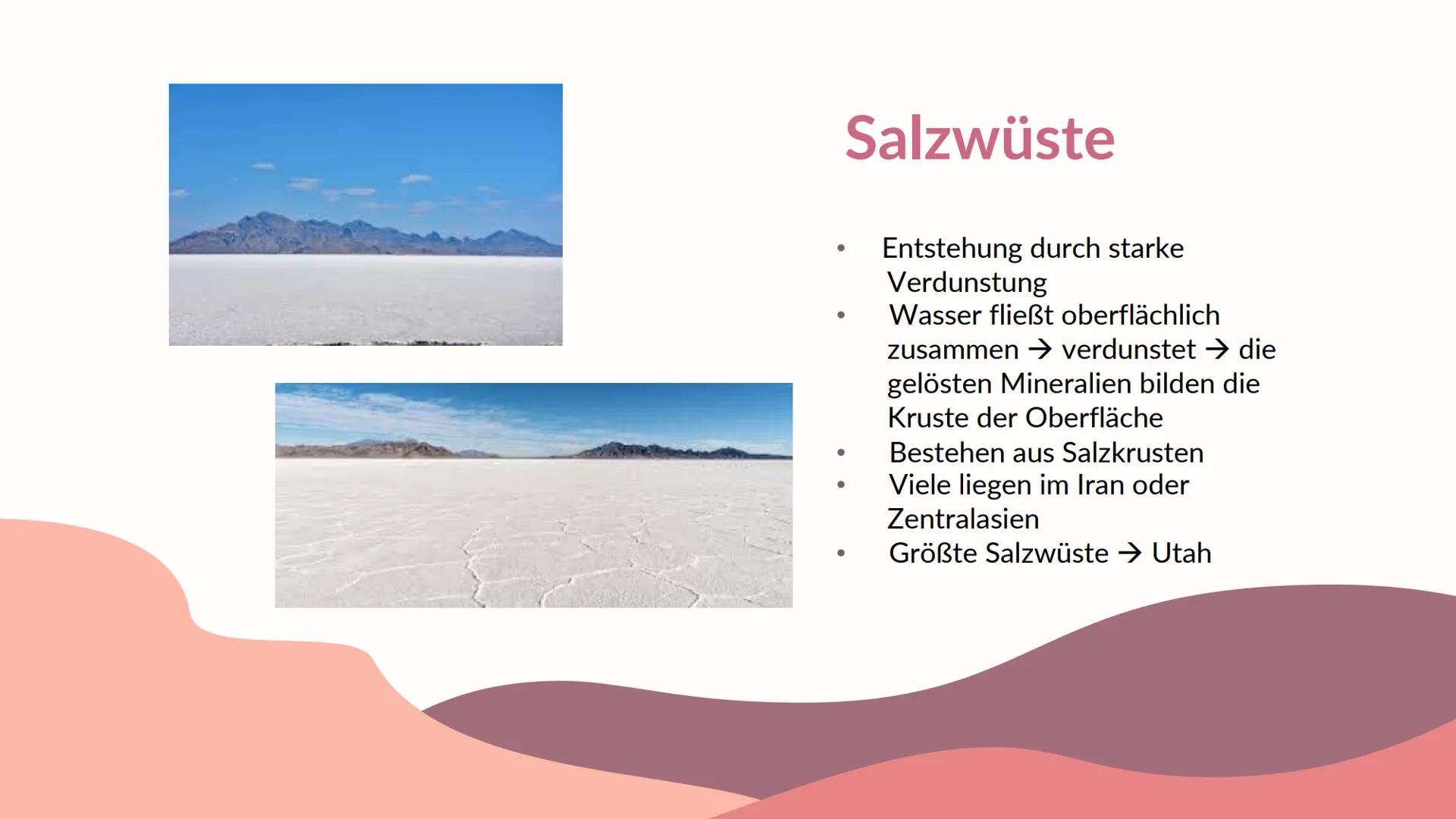 Ökosystem
M
Die Wüste
Präsentation von 01
Vorstellung des
Ökosystems
04
Lage des
Ökosystems
02
Biotische &
Abiotische Faktoren
05
Stoffkreis