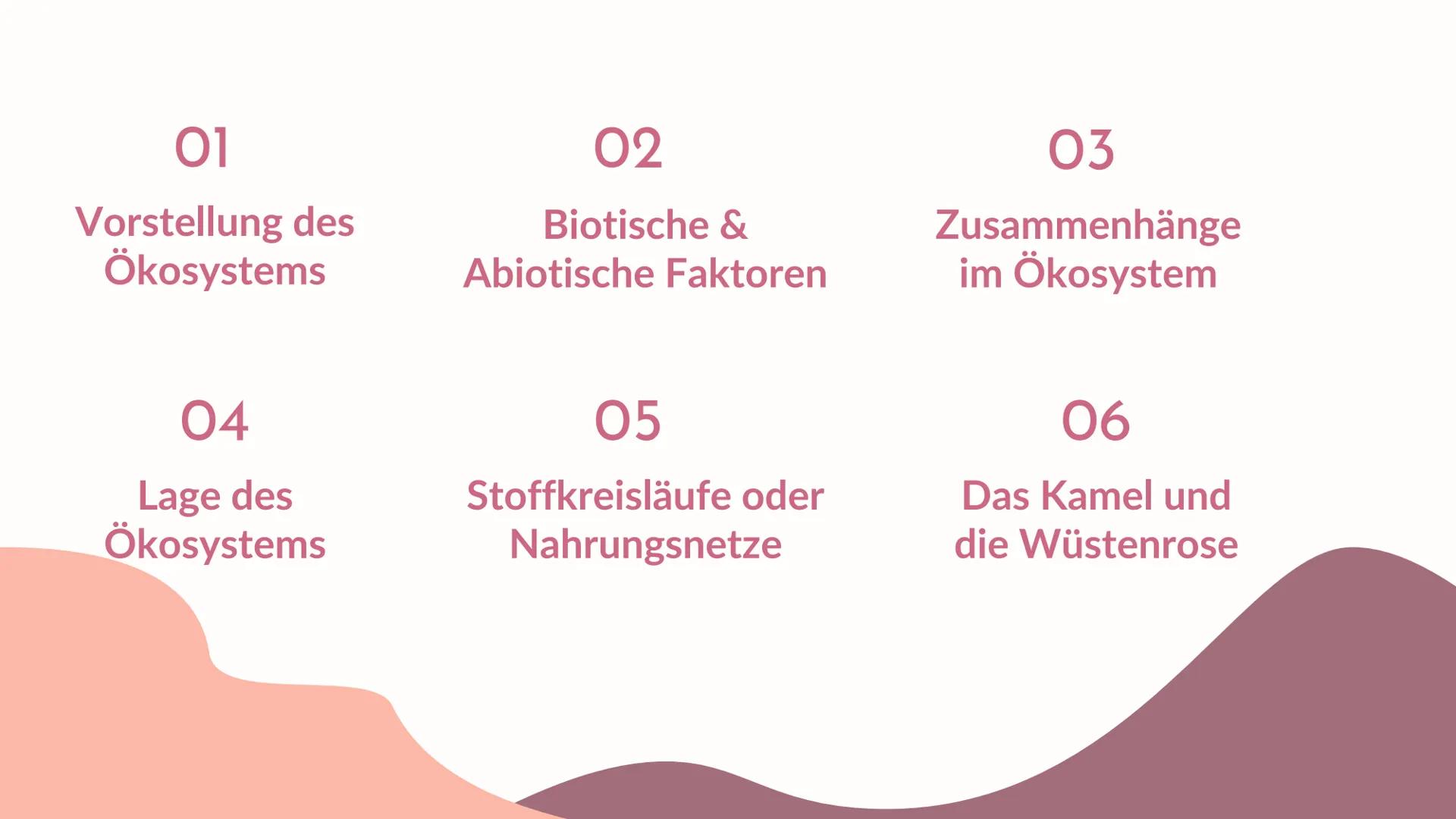 Ökosystem
M
Die Wüste
Präsentation von 01
Vorstellung des
Ökosystems
04
Lage des
Ökosystems
02
Biotische &
Abiotische Faktoren
05
Stoffkreis