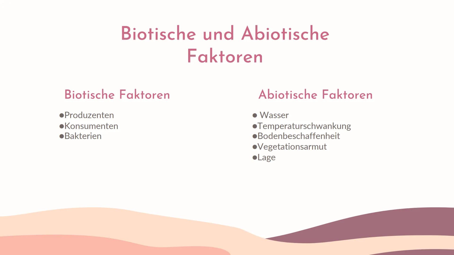 Ökosystem
M
Die Wüste
Präsentation von 01
Vorstellung des
Ökosystems
04
Lage des
Ökosystems
02
Biotische &
Abiotische Faktoren
05
Stoffkreis