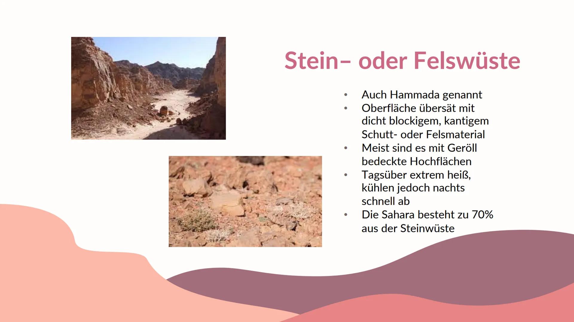 Ökosystem
M
Die Wüste
Präsentation von 01
Vorstellung des
Ökosystems
04
Lage des
Ökosystems
02
Biotische &
Abiotische Faktoren
05
Stoffkreis