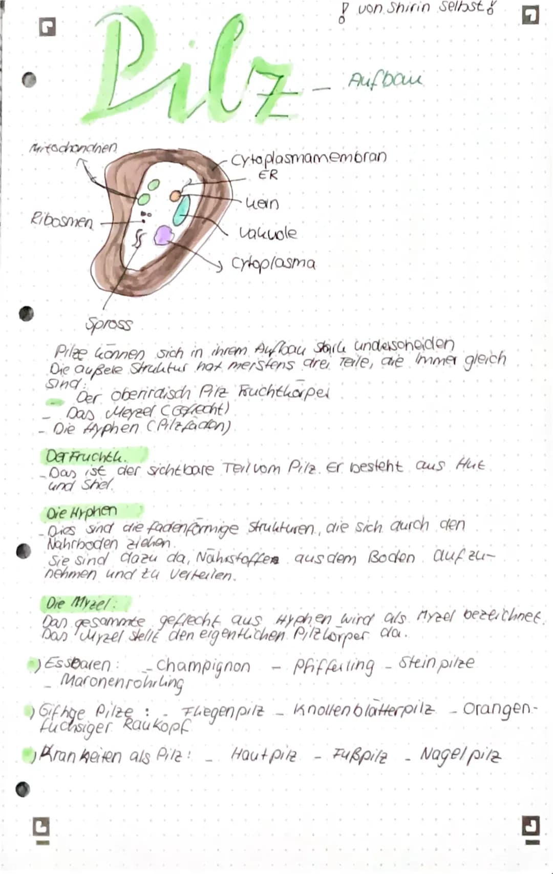 Pilz
D
SS
Mitochondhen
Ribosmen
ER
Cytoplasmamembran
-kein
vakuole
→ Cytoplasma
IG
& von Shirin selbst &
Spross
Pilze konnen sich in ihrem A