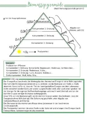 Know Biomassenpyramide (Nahrungspyramide)  thumbnail