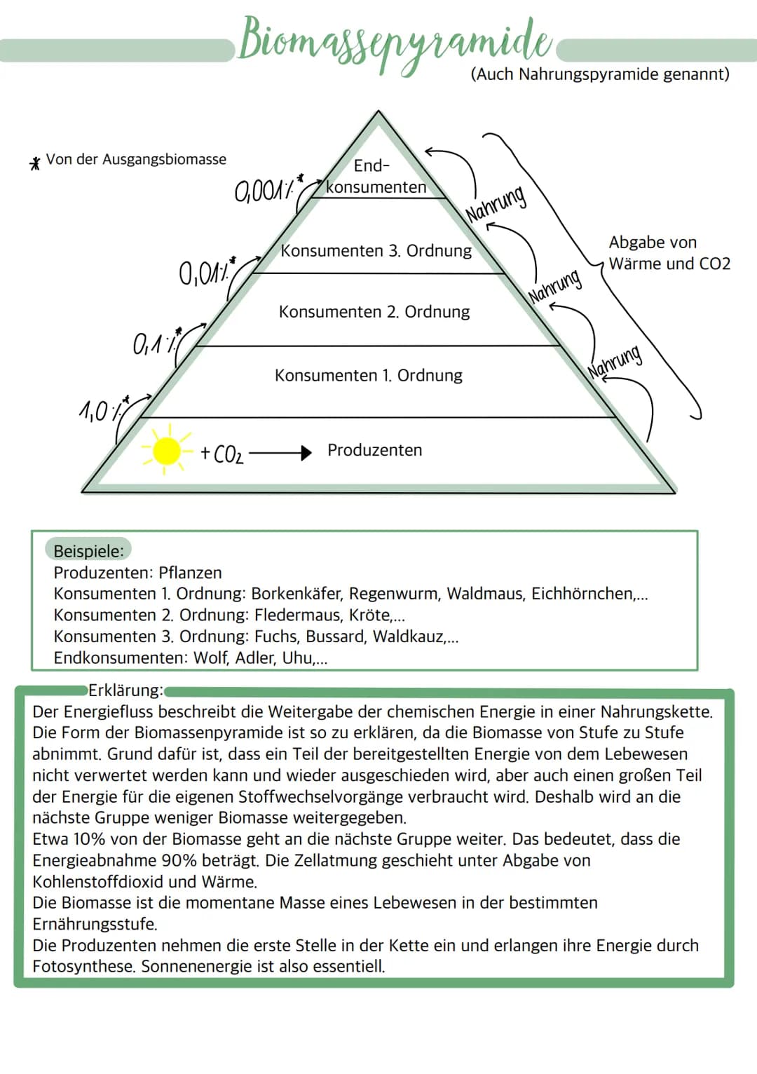 Von der Ausgangsbiomasse
1,01
0,01%
0,11
Biomassepyramide
End-
0,001% konsumenten
+ CO₂
Konsumenten 3. Ordnung
Konsumenten 2. Ordnung
Konsum