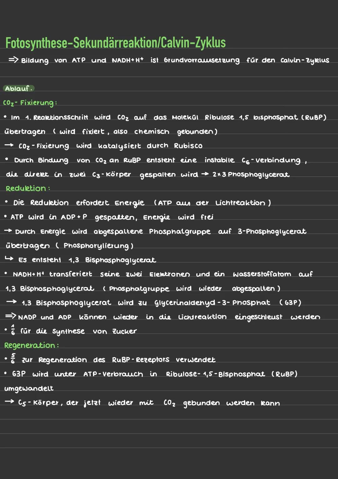 # Fotosynthese-Lichtreaktion/Primärreaktion
Summenformel: 6002+ 6H2O
C6H12O6 + 602

Ort der Fotosynthese:
*   In der Pflanzenzelle enthalten