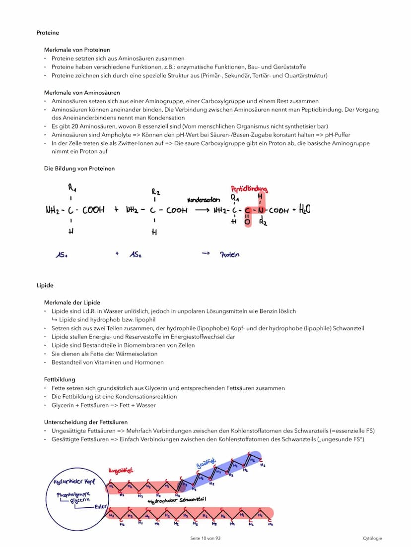 Alexander Agócs
Abitur Zusammenfassung
Biologie LK (LSA-23)
O
...........
O
H-H
O=C
.H
H Themenkomplexe
Einführung in die Biologie
I Cytolog