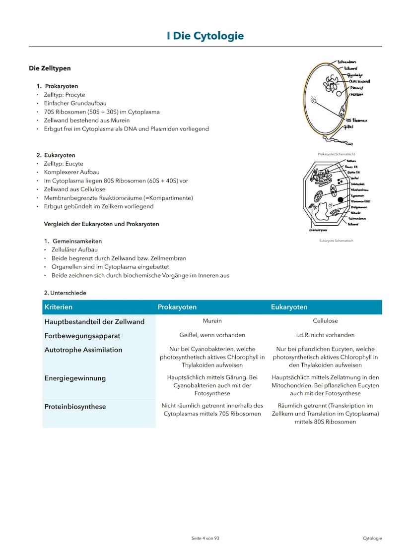 Alexander Agócs
Abitur Zusammenfassung
Biologie LK (LSA-23)
O
...........
O
H-H
O=C
.H
H Themenkomplexe
Einführung in die Biologie
I Cytolog