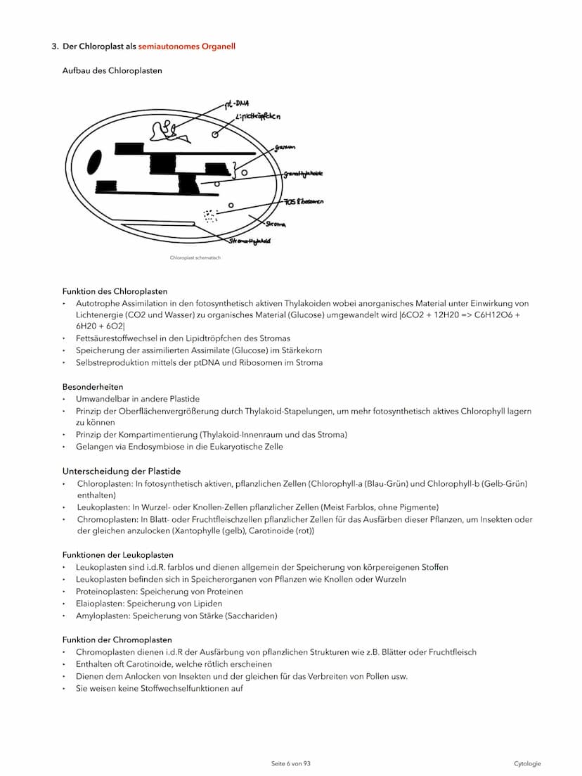 Alexander Agócs
Abitur Zusammenfassung
Biologie LK (LSA-23)
O
...........
O
H-H
O=C
.H
H Themenkomplexe
Einführung in die Biologie
I Cytolog