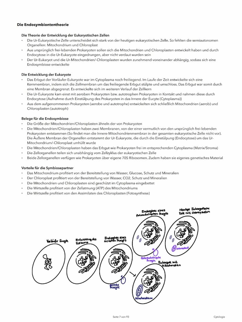 Alexander Agócs
Abitur Zusammenfassung
Biologie LK (LSA-23)
O
...........
O
H-H
O=C
.H
H Themenkomplexe
Einführung in die Biologie
I Cytolog