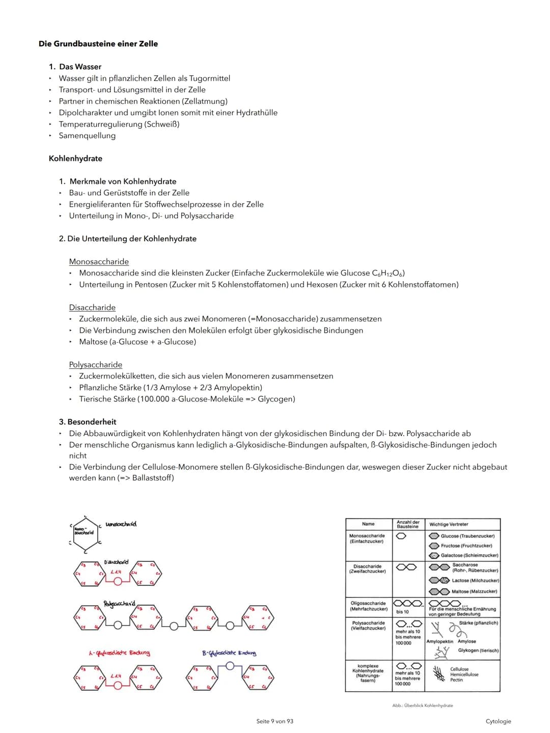 Alexander Agócs
Abitur Zusammenfassung
Biologie LK (LSA-23)
O
...........
O
H-H
O=C
.H
H Themenkomplexe
Einführung in die Biologie
I Cytolog