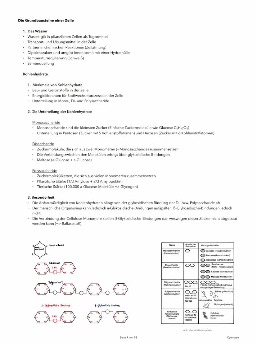 Alexander Agócs
Abitur Zusammenfassung
Biologie LK (LSA-23)
O
...........
O
H-H
O=C
.H
H Themenkomplexe
Einführung in die Biologie
I Cytolog