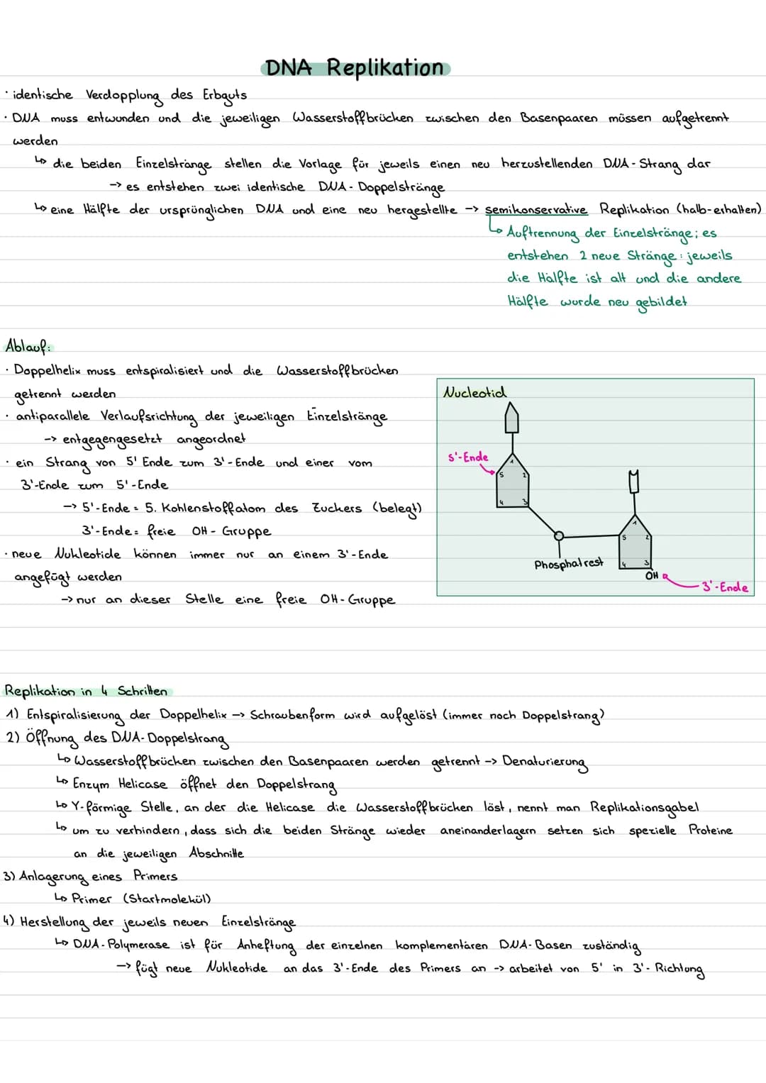 Entdekungsgeschichte
--> Frage nach der chemischen Natur der Erbanlagen
1900: "Wiederentdeckung" der Mendel'schen Gesetze (=beschreiben, wie