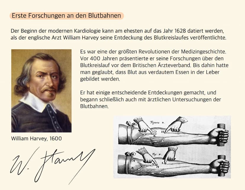 Herz-Kreislauf-
Erkrankungen Welche Krankheiten zählen zu Herz- und
Kreislauferkrankungen?
- Herzinfarkt
- Schlaganfall
- Bluthochdruck (Hyp