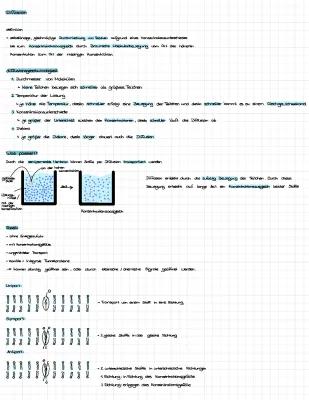 Know Diffusion, Osmose, Plasmolyse/Deplasmolyse, Biomembran  thumbnail