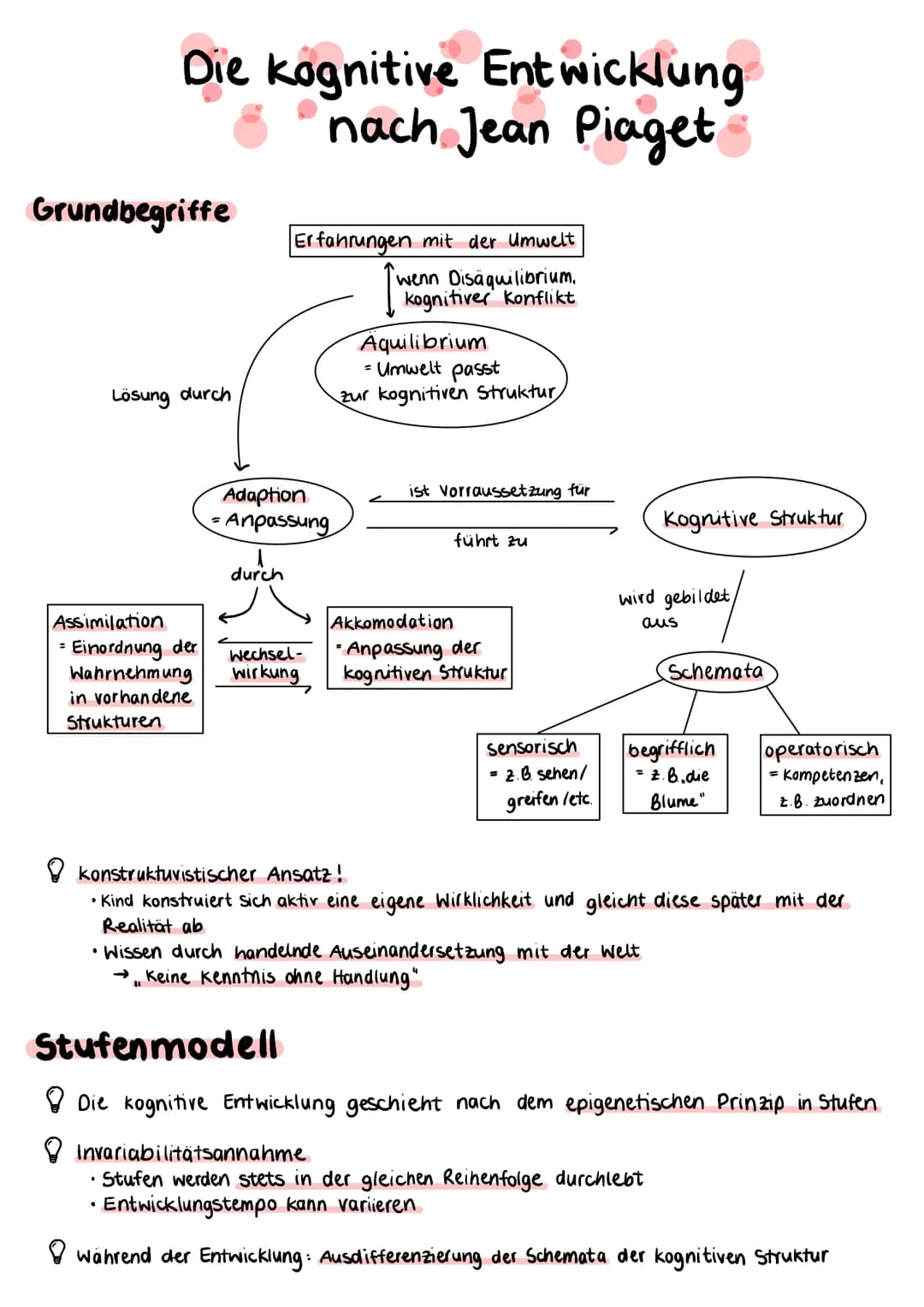 Die kognitive Entwicklung
nach Jean Piaget
Grundbegriffe
Lösung durch
Erfahrungen mit der Umwelt
wenn Disäquilibrium.
Adaption
= Anpassung
d