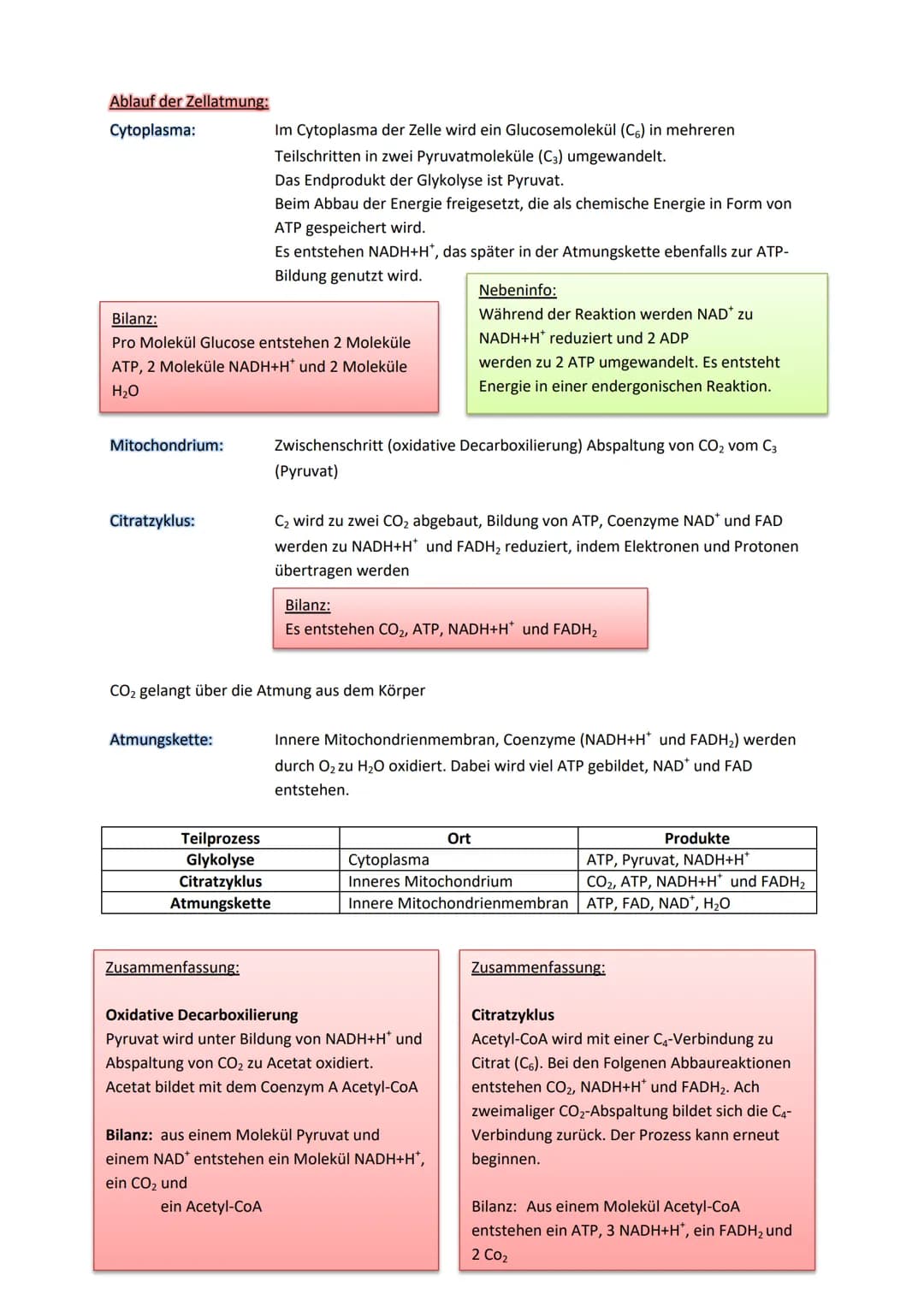 Stoffwechselprozess (=Zellatmung)
Jedes Mitochondrium ist von zwei verschiedenen Membranen eingehüllt. Jede davon hat eine
Phospholipiddoppe
