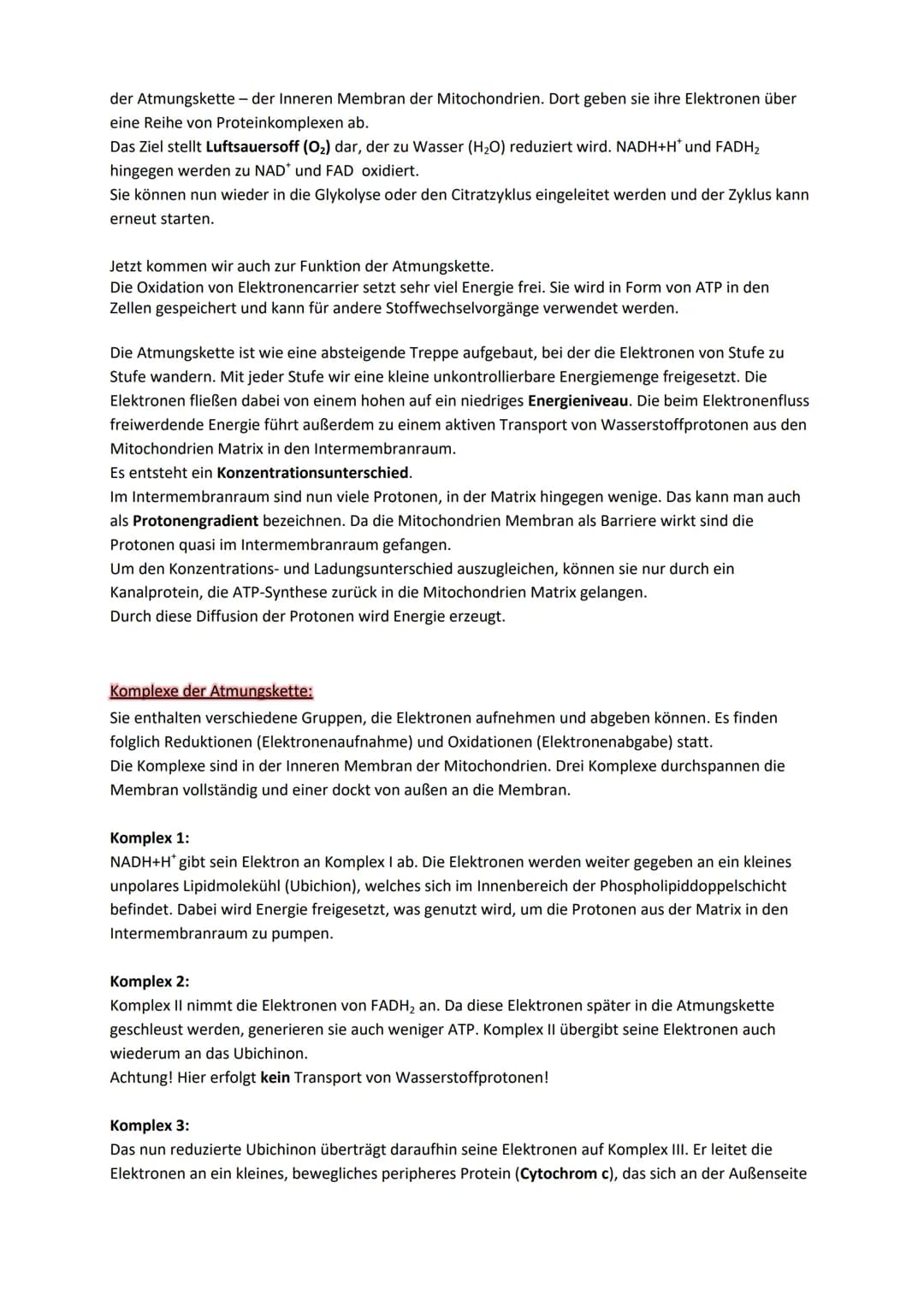 Stoffwechselprozess (=Zellatmung)
Jedes Mitochondrium ist von zwei verschiedenen Membranen eingehüllt. Jede davon hat eine
Phospholipiddoppe