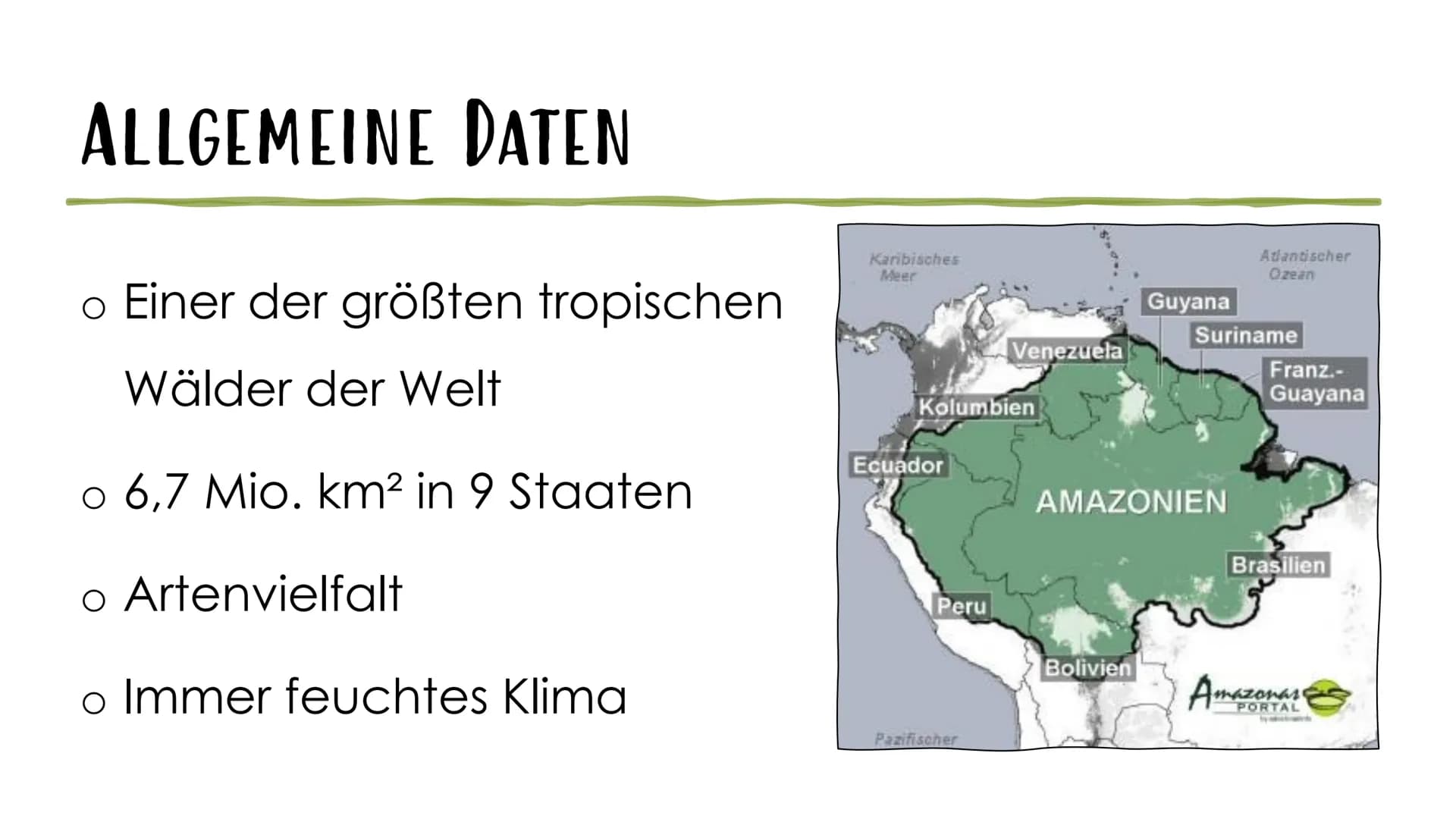 AMAZONAS REGENWALD
Der Amazonas Regenwald zählt mit einer Fläche von 6,7 Millionen km2 zu einem der
größten tropischen Wälder der Welt. Er e