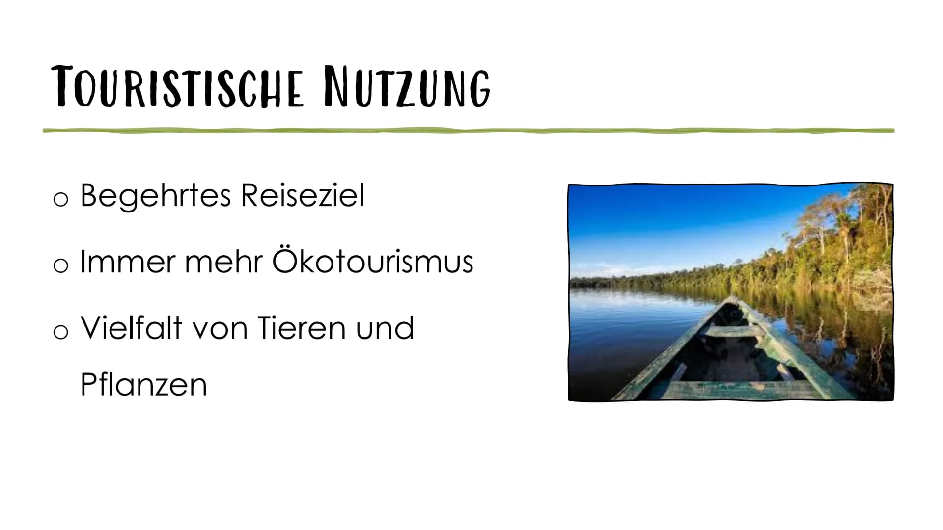 AMAZONAS REGENWALD
Der Amazonas Regenwald zählt mit einer Fläche von 6,7 Millionen km2 zu einem der
größten tropischen Wälder der Welt. Er e