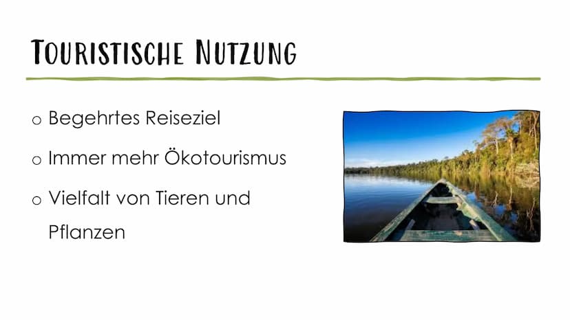 AMAZONAS REGENWALD
Der Amazonas Regenwald zählt mit einer Fläche von 6,7 Millionen km2 zu einem der
größten tropischen Wälder der Welt. Er e