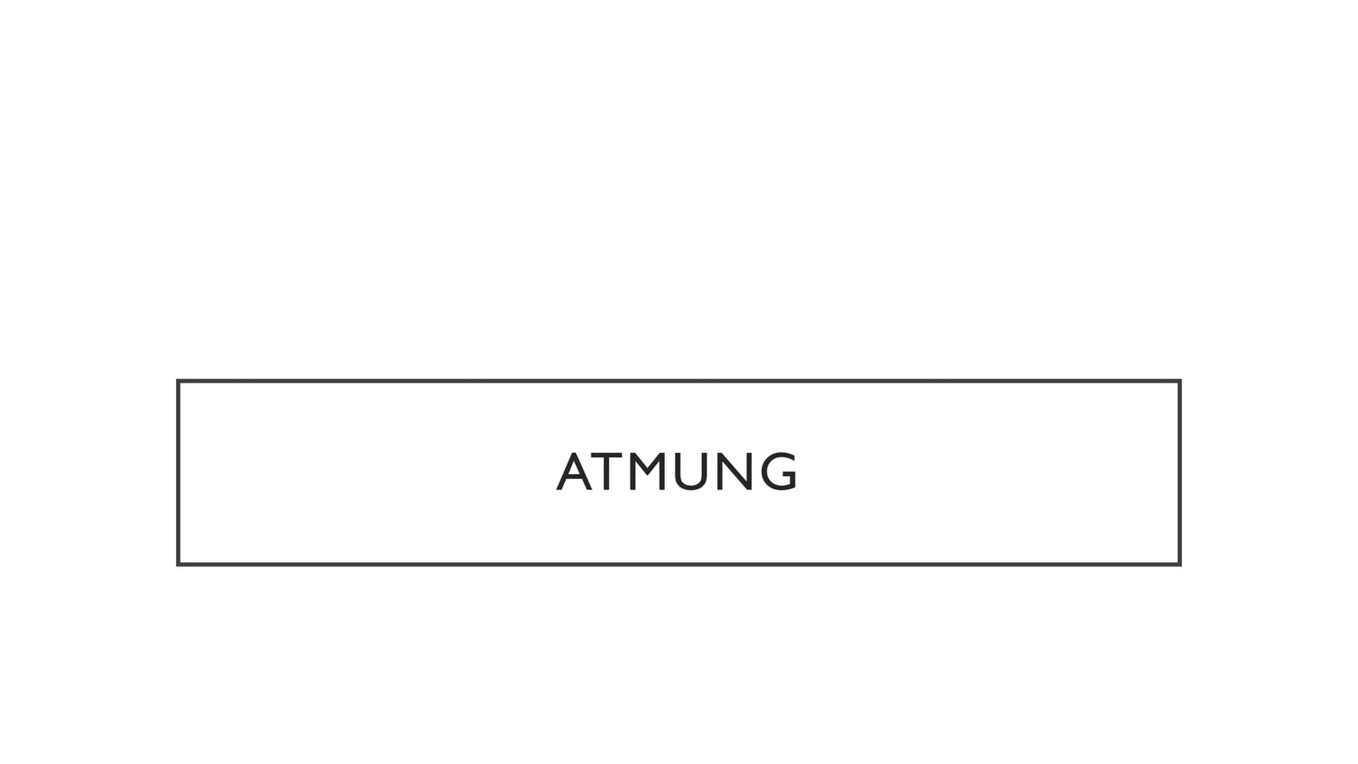 ATMUNG ●
●
●
GLIEDERUNG
1.Wiederholung Äußere Atmung
2. Wiederholung Mitochondrien
3. Innere Atmung
4.Vergleich innere und äußere Atmung Ort