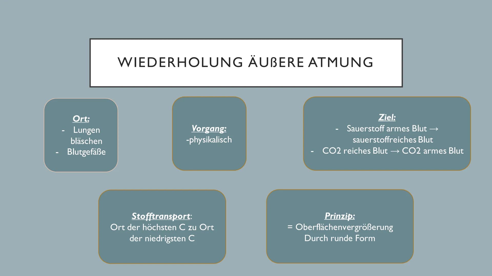 ATMUNG ●
●
●
GLIEDERUNG
1.Wiederholung Äußere Atmung
2. Wiederholung Mitochondrien
3. Innere Atmung
4.Vergleich innere und äußere Atmung Ort