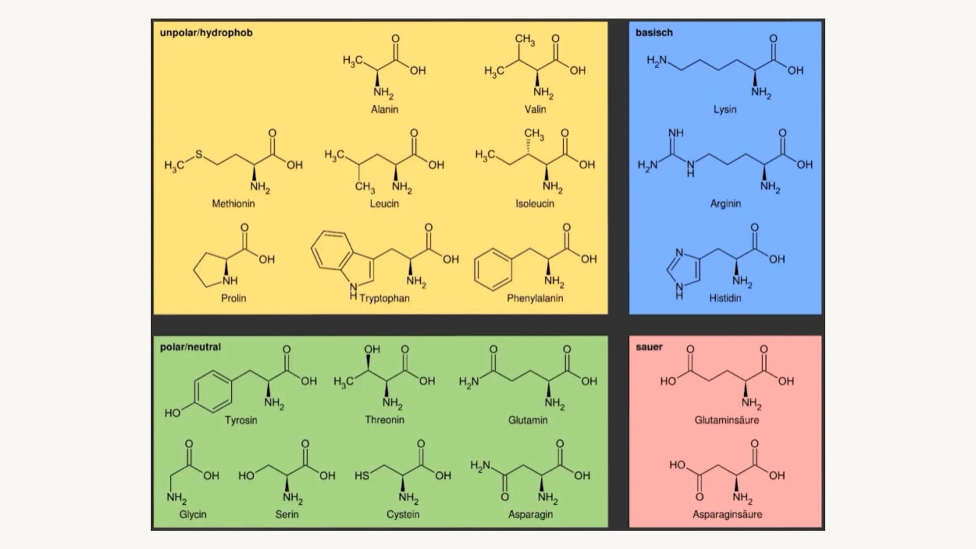 COM
18. APRIL 2023
NACHWEIS-
REAKTIONEN
VON
AMINOSÄUREN
UND PROTEINE
CHEMIE KS 1 GRUNDKURS Inhaltsverzeichnis
+ Aminosäuren + Aufbau
+
Prote