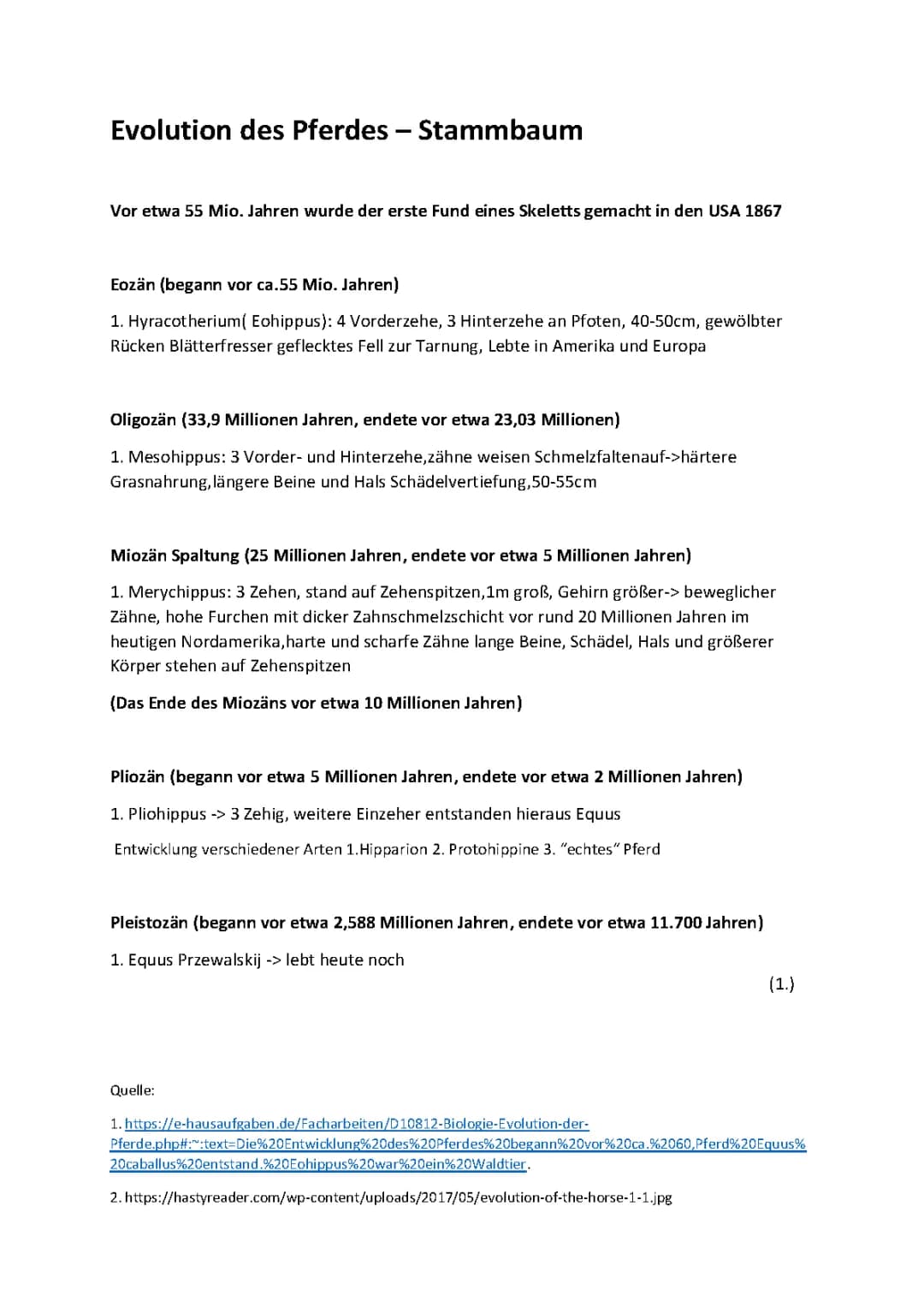 Entwicklung vom Urpferd zum heutigen Pferd: Geschichte & Stammbaum