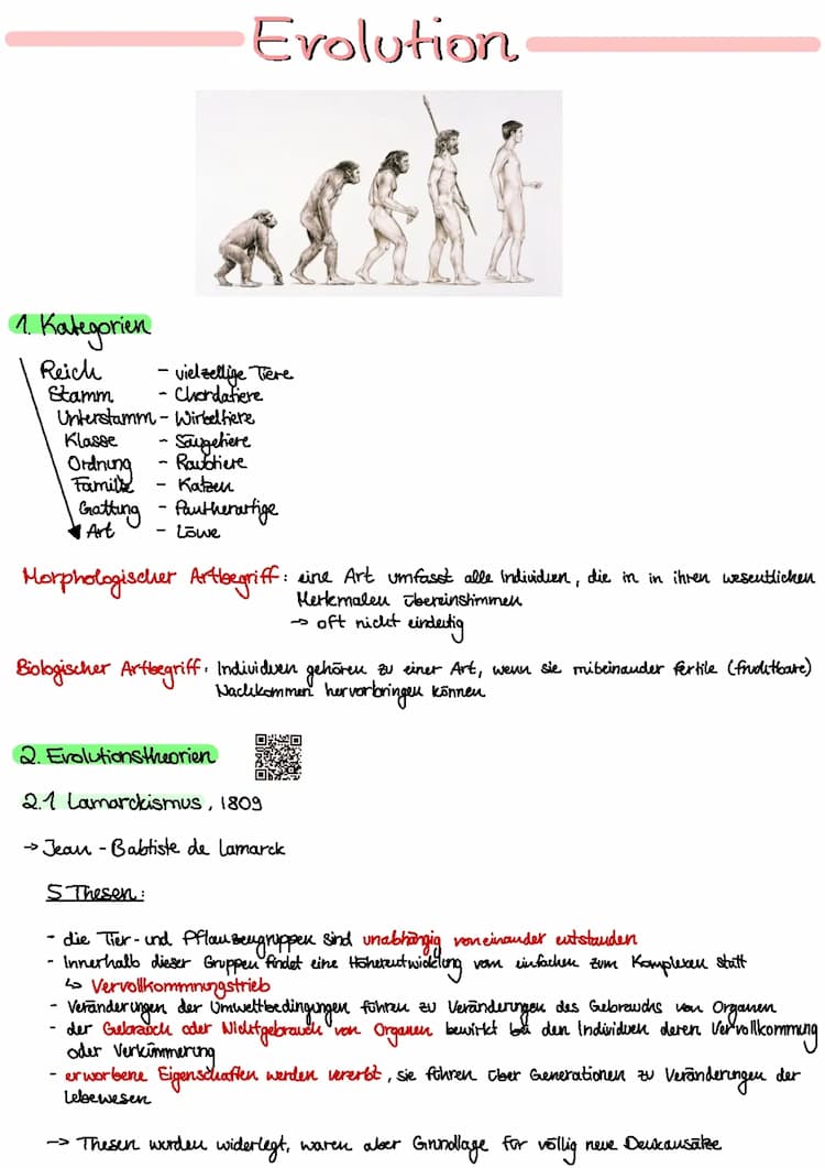 Know Evolution  thumbnail