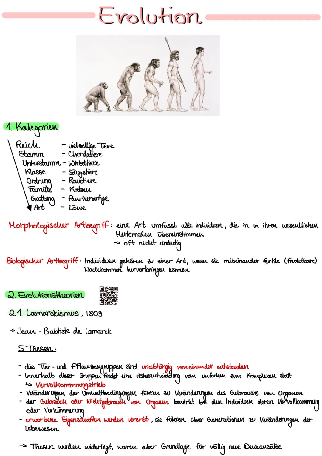 1. Kakegorien
Reich
Stamm
Klasse
Ordnung
Unterstamm-Wirbeltiere
Gratting
| Art
Evolution
- vielzellige Tiere
- Chordatiere
•Saugetiere
•Rowo