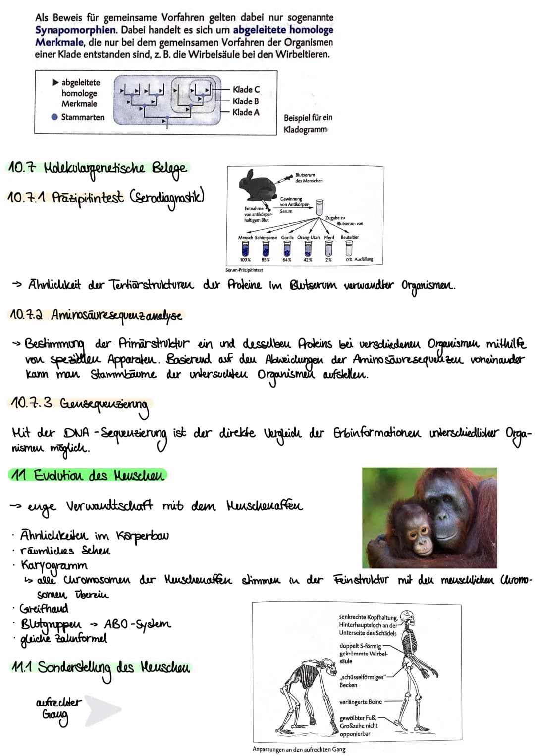 1. Kakegorien
Reich
Stamm
Klasse
Ordnung
Unterstamm-Wirbeltiere
Gratting
| Art
Evolution
- vielzellige Tiere
- Chordatiere
•Saugetiere
•Rowo