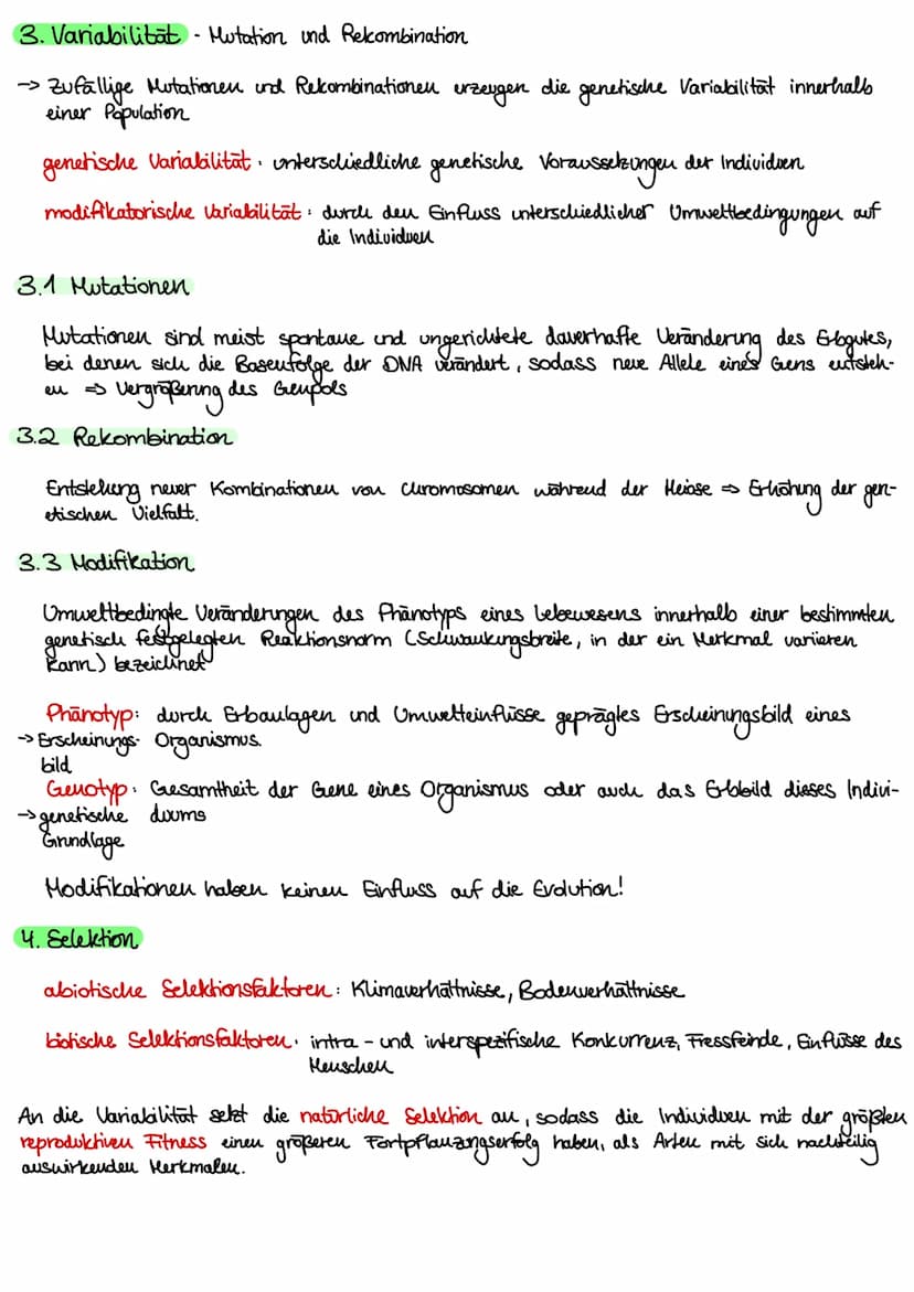 1. Kakegorien
Reich
Stamm
Klasse
Ordnung
Unterstamm-Wirbeltiere
Gratting
| Art
Evolution
- vielzellige Tiere
- Chordatiere
•Saugetiere
•Rowo