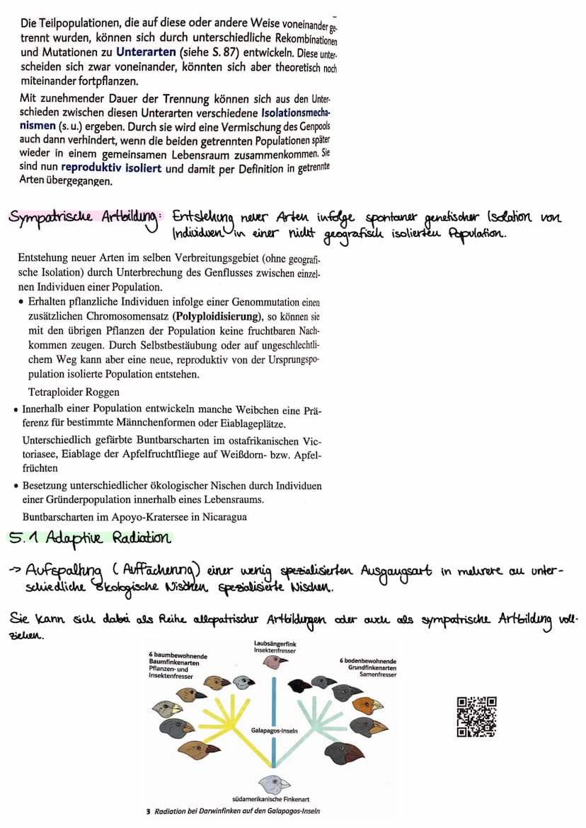 1. Kakegorien
Reich
Stamm
Klasse
Ordnung
Unterstamm-Wirbeltiere
Gratting
| Art
Evolution
- vielzellige Tiere
- Chordatiere
•Saugetiere
•Rowo