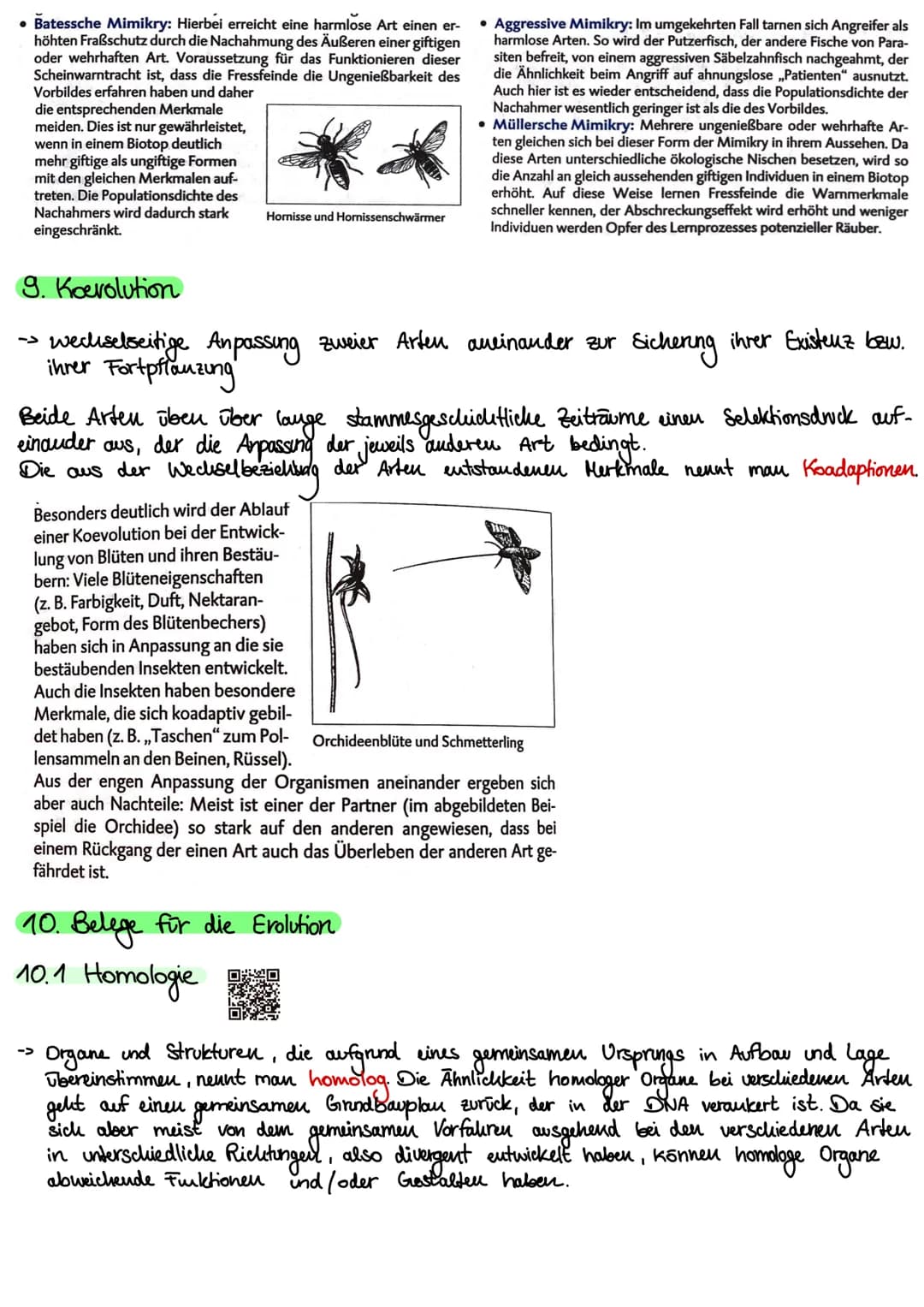1. Kakegorien
Reich
Stamm
Klasse
Ordnung
Unterstamm-Wirbeltiere
Gratting
| Art
Evolution
- vielzellige Tiere
- Chordatiere
•Saugetiere
•Rowo