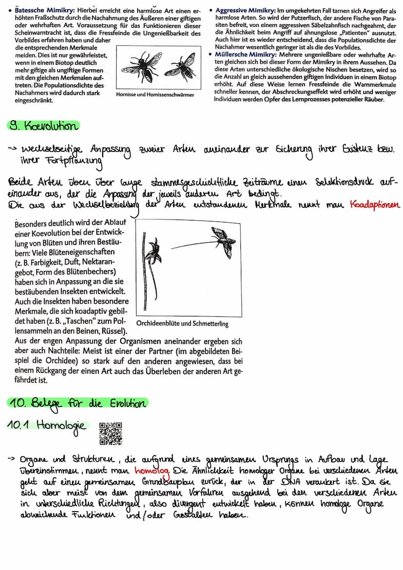 1. Kakegorien
Reich
Stamm
Klasse
Ordnung
Unterstamm-Wirbeltiere
Gratting
| Art
Evolution
- vielzellige Tiere
- Chordatiere
•Saugetiere
•Rowo