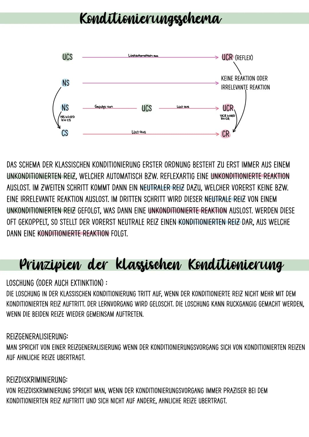 Klassisches Konditionieren
DIE KONDITIONIERUNG IST EIN VORGANG, BEI WELCHEM EINE BESTIMMTE VERHALTENSREAKTION
AUFGRUND EINES REIZES HERBEIGE