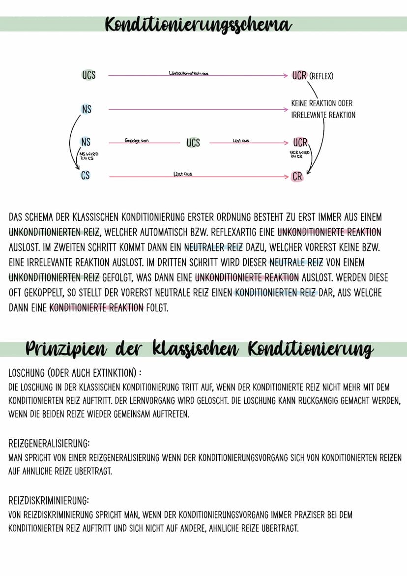 Klassisches Konditionieren
DIE KONDITIONIERUNG IST EIN VORGANG, BEI WELCHEM EINE BESTIMMTE VERHALTENSREAKTION
AUFGRUND EINES REIZES HERBEIGE